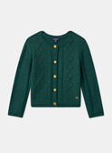 Green CARDIGAN LYCARETTE / 24H2PFO1CARG618