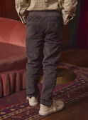 Pantaloni Grigi di Velluto  LADURAGE / 24H3PGQ1PANJ909