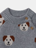 Maglia jacquard con cani LAOREL / 24H1BGQ1PUL943