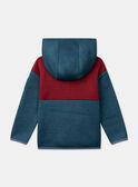 Felpa con cappuccio Tricolore LAROAGE / 24H3PGR1SWE714
