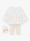 Set cardigan, pantaloni e calze ecrù e greige LOICE / 24H0CM12ENS001
