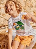T-shirt ecrù a maniche corte FLEFROGAGE / 23E3PGS3TMC001