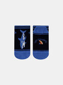 Calze blu con motivo jacquard e motivo squalo in jersey KLOCHAGE / 24E4PGS1SOQC234