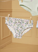 Confezione da 5 slip LUIZETTE / 24H5PF51SLR005