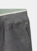 Pantaloni Grigi di Velluto  LADURAGE / 24H3PGQ1PANJ909