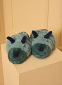 Green SLIPPERS 3D LITOAGE / 24F10PG61PTD608