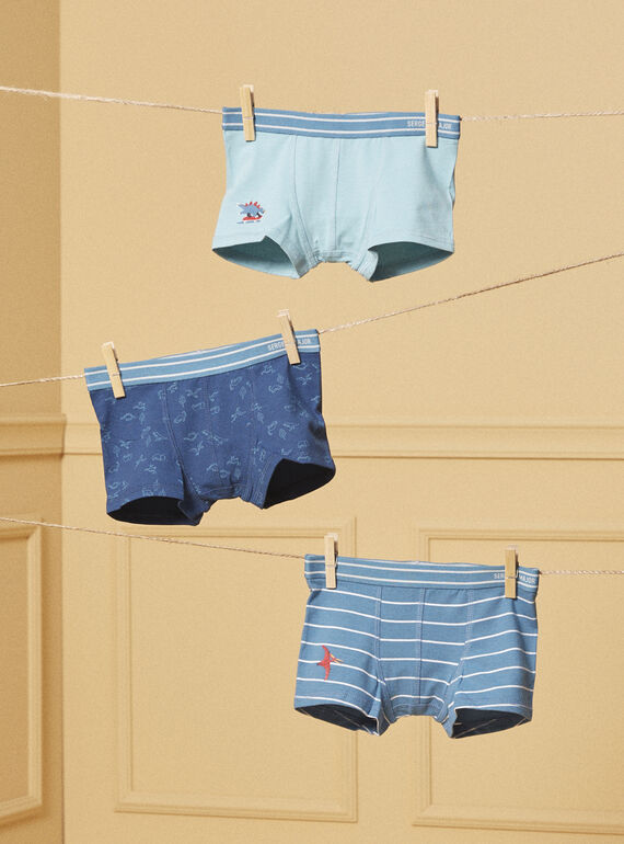 Set di 3 boxer Dino LUIBOXAGE / 24H5PG52BOXC242