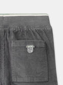 Pantaloni Grigi di Velluto  LADURAGE / 24H3PGQ1PANJ909