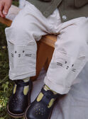 Pantaloni bianchi gesso in twill GADAEL / 23H1BG81PAN632