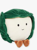 Peluche Cavolfiore verde SMAPE0088CHOUX / 23J7GM42DO2099