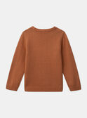 Maglione con skateboard MABRIAGE / 25E3PG71PULE405