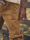 Pantaloni ampi beige in velluto GLAVELTAGE / 23H3PGI1PANI819