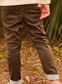 Pantaloni regolari kaki FRICRIAGE2 / 23E3PG82PAN604