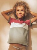 Polo colorblock con dinosauro FRIPLAGE1 / 23E3PGD1POL628