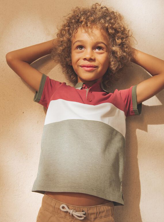 Polo colorblock con dinosauro FRIPLAGE1 / 23E3PGD1POL628