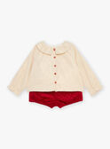 Set blusa e shorts in velluto dorato e rosso GATABITA / 23H1BFN1ENS954