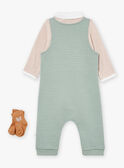 Set body, salopette e calze kaki e nocciola LOIC / 24H0CG12ENS604