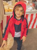 Felpa con cappuccio bicolore FEGILAGE / 23E3PGB1GIL506