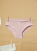 Confezione da 5 slip LUIZETTE / 24H5PF51SLR005