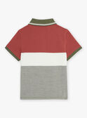 Polo colorblock con dinosauro FRIPLAGE1 / 23E3PGD1POL628