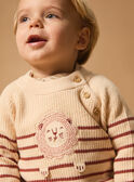 Maglione a righe con leone MAANTOINE / 25E1BG71PUL114
