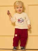 Pantaloni in velluto a coste  LASAM / 24H1BGR1PAN501
