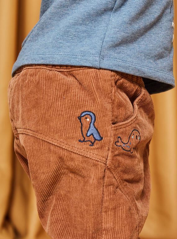 Pantaloni in velluto a costine marrone DASCOTT / 22H1BGY1PAN804