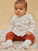 Top, pantaloni pigiama e calze grigio chiaro GOKAY / 23H0CML2ENS001