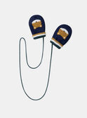 Navy GLOVES & MITTENS LIPAOLO / 24H4BG72GAN070