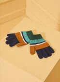 Navy GLOVES & MITTENS LIOGANAGE / 24H4PG81GAN070