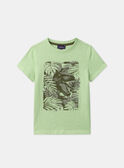 T-shirt Dinosauro MLEDINAGE / 25E3PGO2TMC603