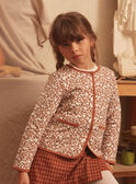 Cardigan marrone LIREVETTE / 24H2PFK2CAR809