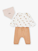 Set maglia, pantaloni e bandana color nocciola ed écru LOGAN / 24H0CG13ENS821