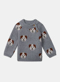 Maglia jacquard con cani LAOREL / 24H1BGQ1PUL943