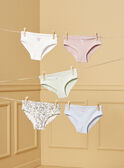 Confezione da 5 slip LUIZETTE / 24H5PF51SLR005