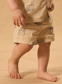 Shorts panda MAYANIS / 25E1BGR1SHO806